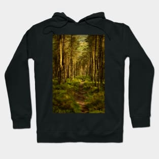 Foel Fynyddau Woodland - 2014 Hoodie